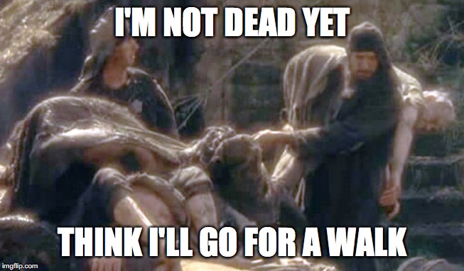 I'm not dead yet | I'M NOT DEAD YET; THINK I'LL GO FOR A WALK | image tagged in i'm not dead yet | made w/ Imgflip meme maker