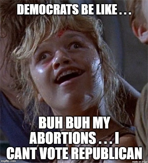 Dumb Girl | DEMOCRATS BE LIKE . . . BUH BUH MY ABORTIONS . . . I CANT VOTE REPUBLICAN | image tagged in dumb girl | made w/ Imgflip meme maker