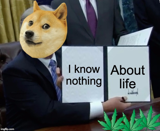 Trump Bill Signing Meme | I know nothing; About life | image tagged in memes,trump bill signing | made w/ Imgflip meme maker