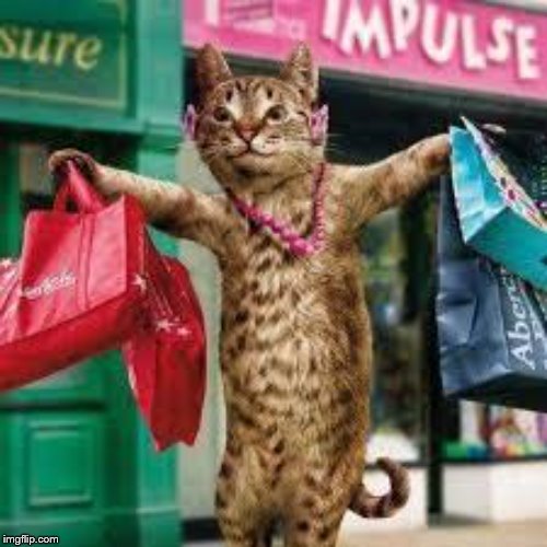 Cat shopping | image tagged in cat shopping | made w/ Imgflip meme maker