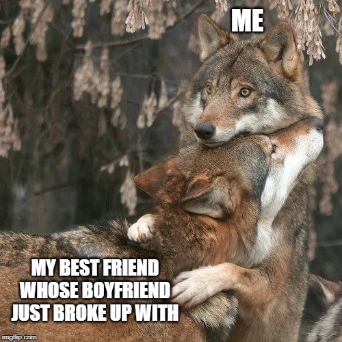Best Friend Problems | ME; MY BEST FRIEND WHOSE BOYFRIEND JUST BROKE UP WITH | image tagged in memes,wolves | made w/ Imgflip meme maker