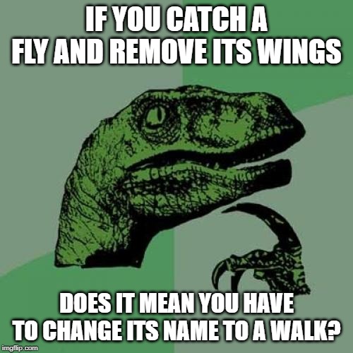 Bzzzzzzzzz | IF YOU CATCH A FLY AND REMOVE ITS WINGS; DOES IT MEAN YOU HAVE TO CHANGE ITS NAME TO A WALK? | image tagged in memes,philosoraptor | made w/ Imgflip meme maker