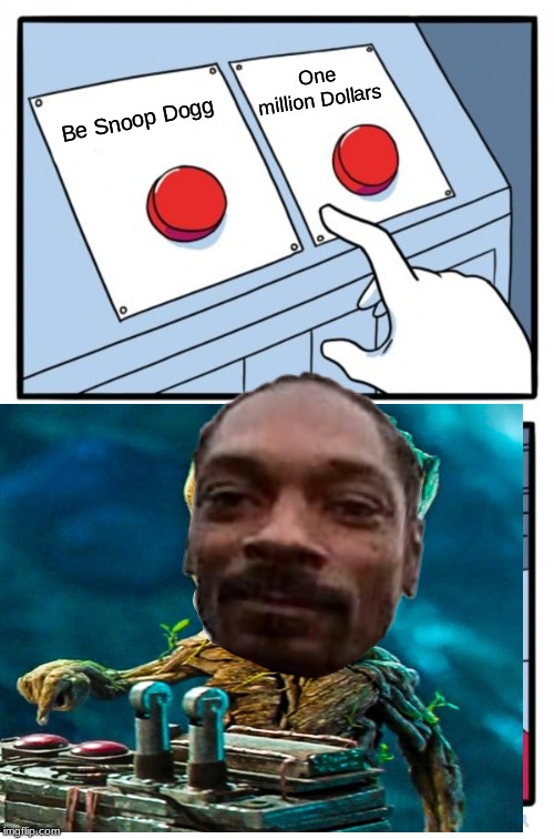 Snoop Dogg | One million Dollars; Be Snoop Dogg | image tagged in snoop dogg | made w/ Imgflip meme maker