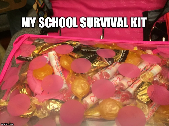 Candy | MY SCHOOL SURVIVAL KIT | image tagged in candy | made w/ Imgflip meme maker