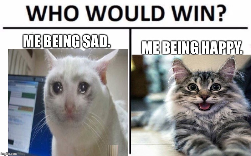 Who would win | ME BEING SAD. ME BEING HAPPY. | image tagged in cats,memes | made w/ Imgflip meme maker