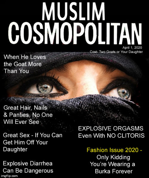 Cosmopolitan | image tagged in cosmopolitan,lol,funny memes,orgasm,goats,eyes | made w/ Imgflip meme maker