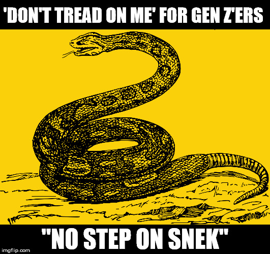 No Step On Snek | 'DON'T TREAD ON ME' FOR GEN Z'ERS; "NO STEP ON SNEK" | image tagged in snake,snek,political meme,political memes,almost politically correct redneck,politically incorrect | made w/ Imgflip meme maker