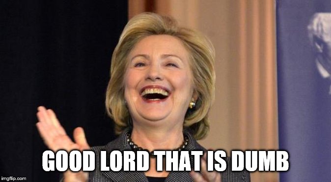 Hillary Laughing | GOOD LORD THAT IS DUMB | image tagged in hillary laughing | made w/ Imgflip meme maker