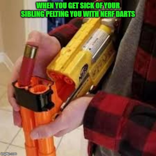 This is how the nerf war ends. | WHEN YOU GET SICK OF YOUR SIBLING PELTING YOU WITH NERF DARTS | image tagged in nerf,memes,funny | made w/ Imgflip meme maker