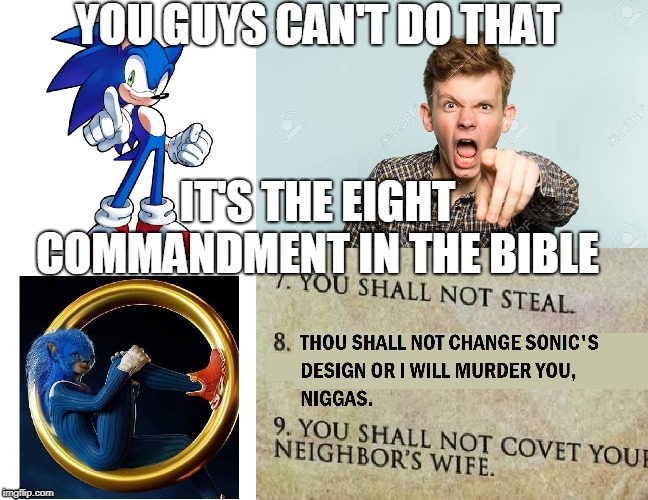 the eight commandment in the bible | YOU GUYS CAN'T DO THAT; IT'S THE EIGHT COMMANDMENT IN THE BIBLE | image tagged in sonic movie,sonic the hedgehog,funny | made w/ Imgflip meme maker