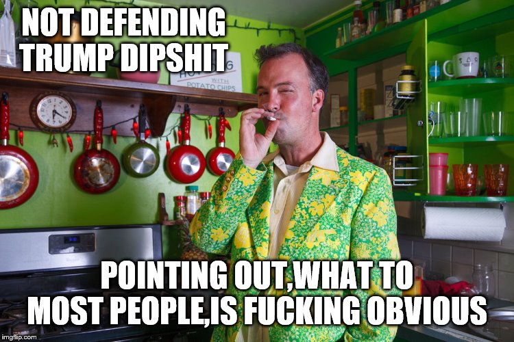 NOT DEFENDING TRUMP DIPSHIT POINTING OUT,WHAT TO MOST PEOPLE,IS F**KING OBVIOUS | made w/ Imgflip meme maker