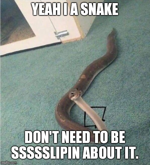 Sassy snake. | YEAH I A SNAKE; DON'T NEED TO BE SSSSSLIPIN ABOUT IT. | image tagged in snake,animated,arms | made w/ Imgflip meme maker
