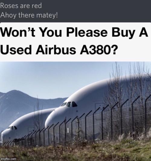 No I Wouldn’t | image tagged in dank memes,roses are red,aviation,airplane | made w/ Imgflip meme maker