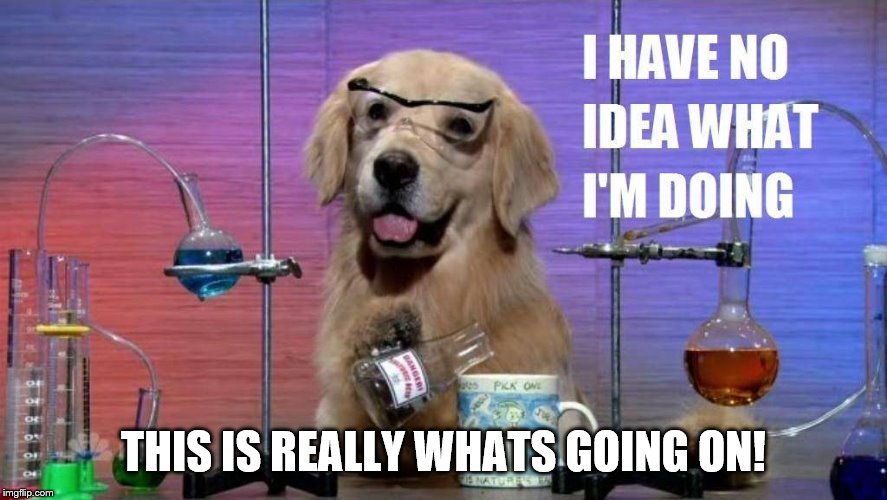 clueless science dog | THIS IS REALLY WHATS GOING ON! | image tagged in clueless science dog | made w/ Imgflip meme maker