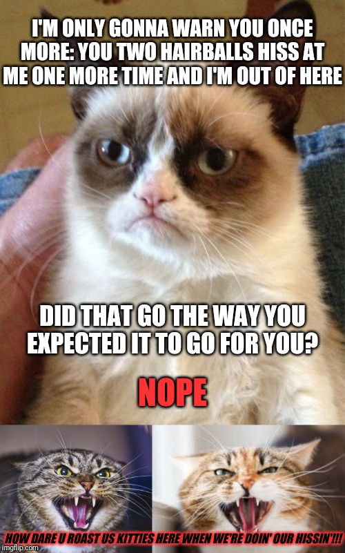 Wow looks like Grumpy cat jus roasted the two hissing cats back lol ha got eem XD | I'M ONLY GONNA WARN YOU ONCE MORE: YOU TWO HAIRBALLS HISS AT ME ONE MORE TIME AND I'M OUT OF HERE; DID THAT GO THE WAY YOU EXPECTED IT TO GO FOR YOU? NOPE; HOW DARE U ROAST US KITTIES HERE WHEN WE'RE DOIN' OUR HISSIN'!!! | image tagged in memes,grumpy cat,the hissing cat,angry cat,funny cat memes,cat memes | made w/ Imgflip meme maker