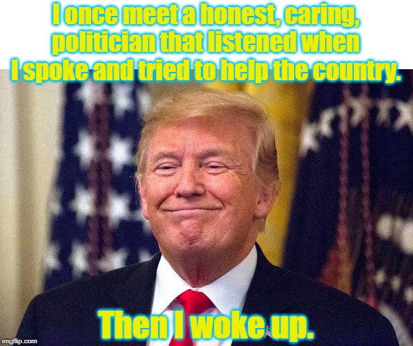 dreaming | I once meet a honest, caring, politician that listened when I spoke and tried to help the country. Then I woke up. | image tagged in politics | made w/ Imgflip meme maker