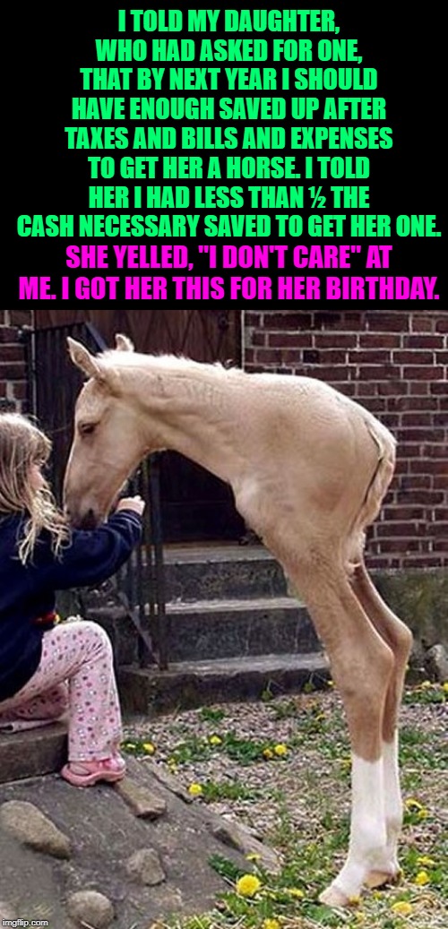 her dad warned her he'd less than ½ the cash 4 a pony this year | I TOLD MY DAUGHTER, WHO HAD ASKED FOR ONE, THAT BY NEXT YEAR I SHOULD HAVE ENOUGH SAVED UP AFTER TAXES AND BILLS AND EXPENSES TO GET HER A HORSE. I TOLD HER I HAD LESS THAN ½ THE CASH NECESSARY SAVED TO GET HER ONE. SHE YELLED, "I DON'T CARE" AT ME. I GOT HER THIS FOR HER BIRTHDAY. | image tagged in her dad warned her he'd less than  the cash 4 a pony this year | made w/ Imgflip meme maker