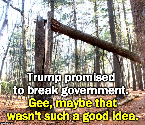 Trump promised to break government. Gee, maybe that wasn't such a good idea. | image tagged in trump,government,incompetent,idiot,unqualified,unfit | made w/ Imgflip meme maker