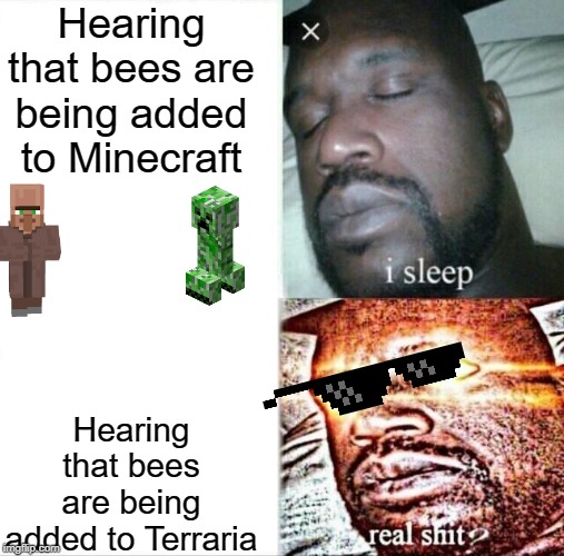 Bees bees bees | Hearing that bees are being added to Minecraft; Hearing that bees are being added to Terraria | image tagged in memes,sleeping shaq,hot,bees,terraria,minecraft | made w/ Imgflip meme maker