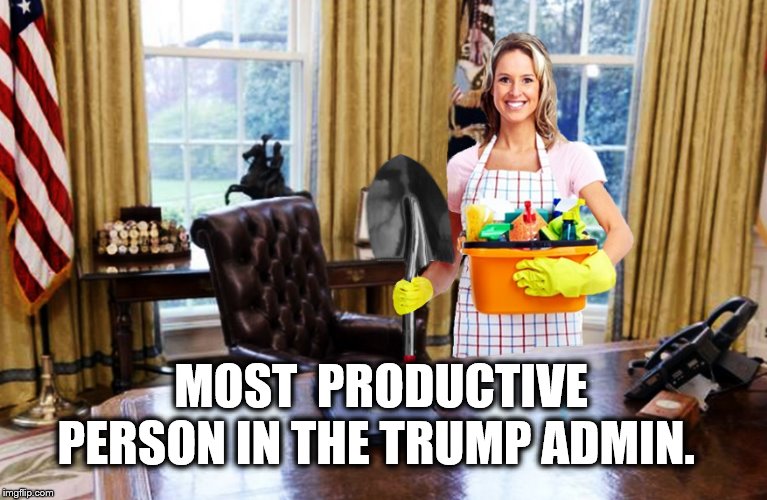 Working Overtime... | MOST  PRODUCTIVE PERSON IN THE TRUMP ADMIN. | image tagged in donald trump,trump is a moron,impeach trump | made w/ Imgflip meme maker