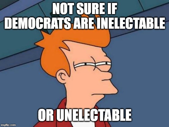 Futurama Fry Meme | NOT SURE IF DEMOCRATS ARE INELECTABLE; OR UNELECTABLE | image tagged in memes,futurama fry | made w/ Imgflip meme maker