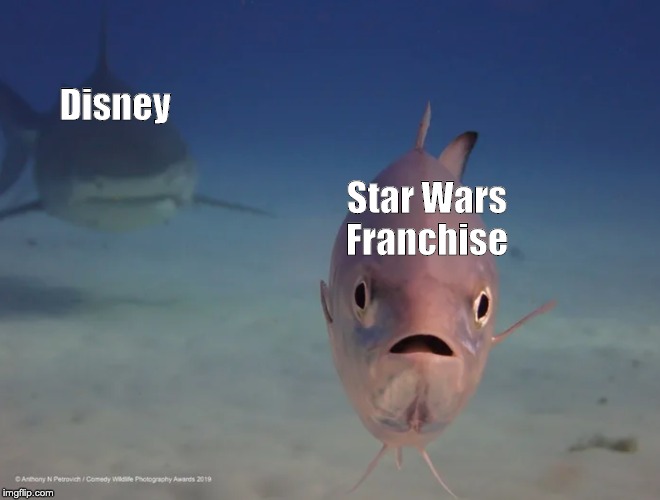 Disney; Star Wars Franchise | made w/ Imgflip meme maker