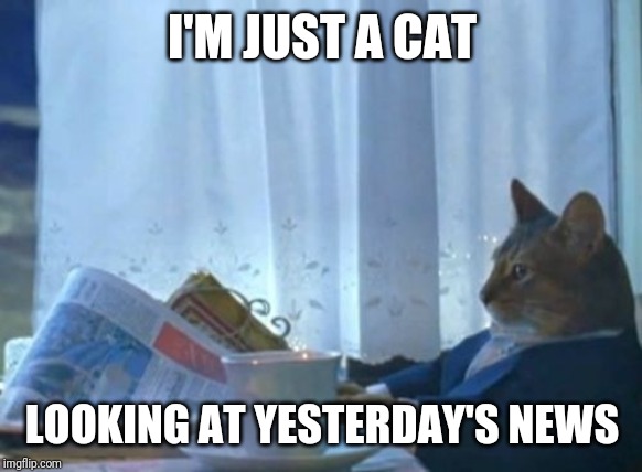 I Should Buy A Boat Cat | I'M JUST A CAT; LOOKING AT YESTERDAY'S NEWS | image tagged in memes,i should buy a boat cat | made w/ Imgflip meme maker