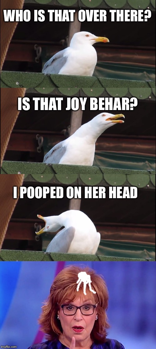 Inhaling Seagull | WHO IS THAT OVER THERE? IS THAT JOY BEHAR? I POOPED ON HER HEAD | image tagged in memes,inhaling seagull | made w/ Imgflip meme maker