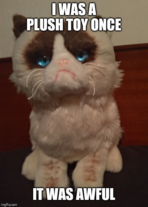 I love my grumpy cat plush | I WAS A PLUSH TOY ONCE; IT WAS AWFUL | image tagged in grumpy cat | made w/ Imgflip meme maker