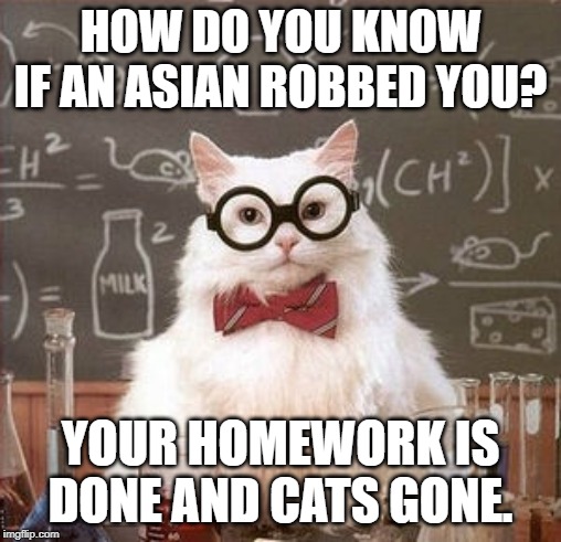 cats gone | HOW DO YOU KNOW IF AN ASIAN ROBBED YOU? YOUR HOMEWORK IS DONE AND CATS GONE. | image tagged in cat | made w/ Imgflip meme maker