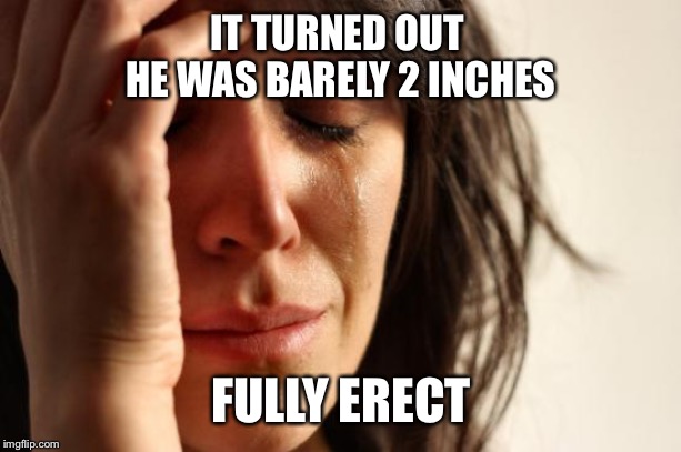 First World Problems Meme | IT TURNED OUT 
HE WAS BARELY 2 INCHES FULLY ERECT | image tagged in memes,first world problems | made w/ Imgflip meme maker
