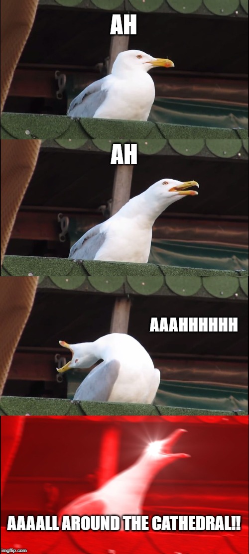 Inhaling Seagull Meme | AH; AH; AAAHHHHHH; AAAALL AROUND THE CATHEDRAL!! | image tagged in memes,inhaling seagull | made w/ Imgflip meme maker
