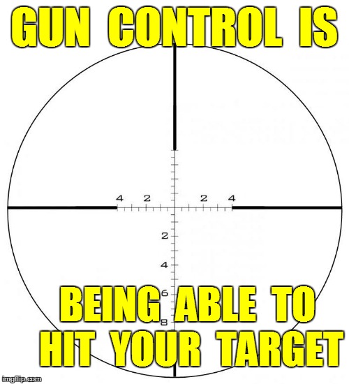 GUN  CONTROL  IS BEING  ABLE  TO  HIT  YOUR  TARGET | made w/ Imgflip meme maker