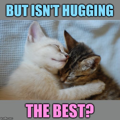 BUT ISN'T HUGGING THE BEST? | made w/ Imgflip meme maker