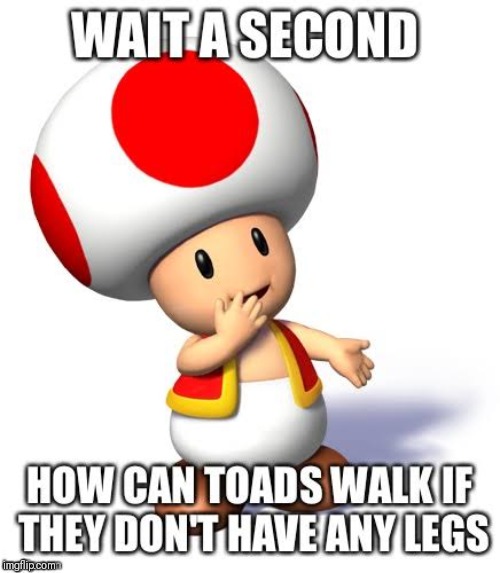 When logic isn't logical anymore | image tagged in wtf,toad | made w/ Imgflip meme maker