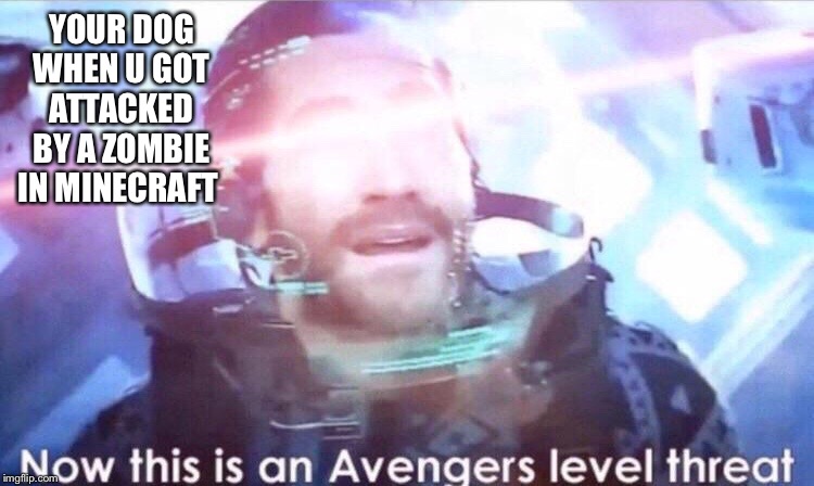 Now this is an avengers level threat | YOUR DOG WHEN U GOT ATTACKED BY A ZOMBIE IN MINECRAFT | image tagged in now this is an avengers level threat | made w/ Imgflip meme maker
