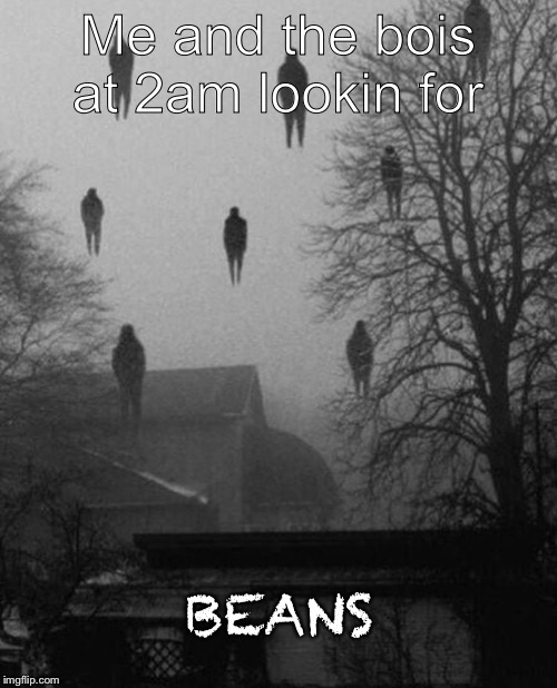 Me and the boys at 3 AM | Me and the bois at 2am lookin for; BEANS | image tagged in me and the boys at 3 am | made w/ Imgflip meme maker