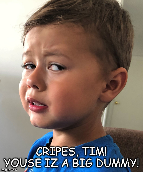 Dummy Tim | CRIPES, TIM! YOUSE IZ A BIG DUMMY! | image tagged in funny face | made w/ Imgflip meme maker