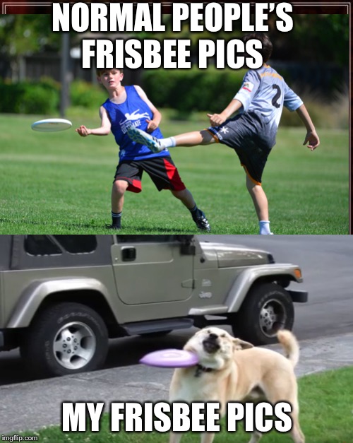 NORMAL PEOPLE’S FRISBEE PICS; MY FRISBEE PICS | image tagged in memes | made w/ Imgflip meme maker