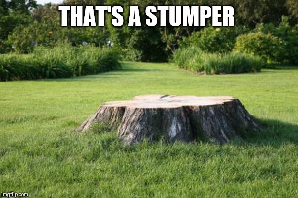 tree stump | THAT'S A STUMPER | image tagged in tree stump | made w/ Imgflip meme maker