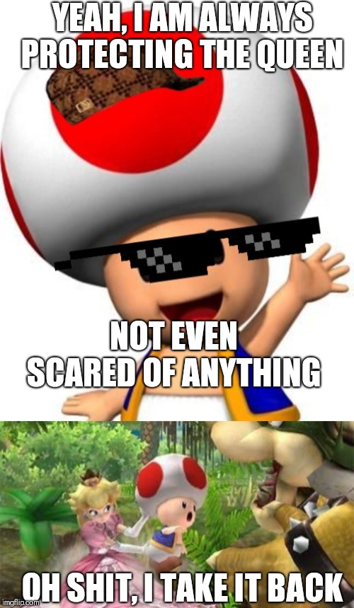 Toad the gangster | YEAH, I AM ALWAYS PROTECTING THE QUEEN; NOT EVEN SCARED OF ANYTHING; OH SHIT, I TAKE IT BACK | image tagged in toad,princess peach,bowser,like a boss | made w/ Imgflip meme maker