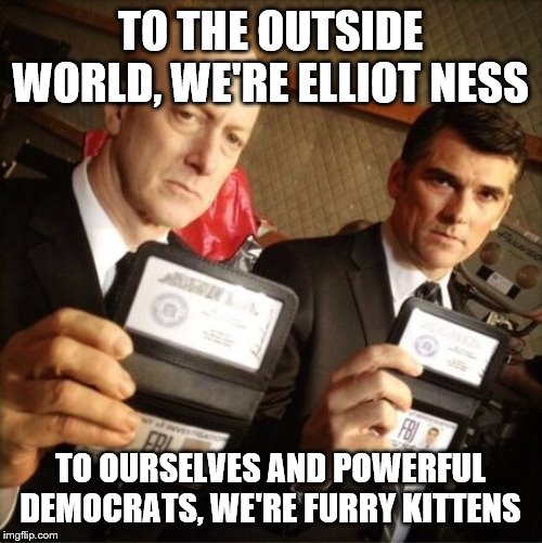 FBI | TO THE OUTSIDE WORLD, WE'RE ELLIOT NESS; TO OURSELVES AND POWERFUL DEMOCRATS, WE'RE FURRY KITTENS | image tagged in fbi | made w/ Imgflip meme maker