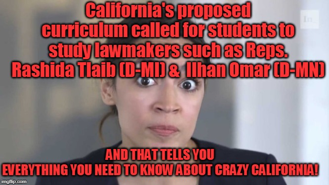 Two Flew Over the Cuckoo's Nest | California's proposed curriculum called for students to study lawmakers such as Reps. Rashida Tlaib (D-MI) &  Ilhan Omar (D-MN); AND THAT TELLS YOU EVERYTHING YOU NEED TO KNOW ABOUT CRAZY CALIFORNIA! | image tagged in politics,political meme,politics lol,political,politicians,democrats | made w/ Imgflip meme maker
