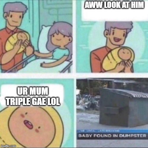 Baby Found in Dumpster | AWW LOOK AT HIM; UR MUM TRIPLE GAE LOL | image tagged in baby found in dumpster | made w/ Imgflip meme maker
