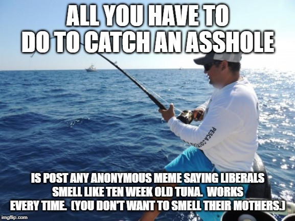 fishing  | ALL YOU HAVE TO DO TO CATCH AN ASSHOLE; IS POST ANY ANONYMOUS MEME SAYING LIBERALS SMELL LIKE TEN WEEK OLD TUNA.  WORKS EVERY TIME.  (YOU DON'T WANT TO SMELL THEIR MOTHERS.) | image tagged in fishing | made w/ Imgflip meme maker
