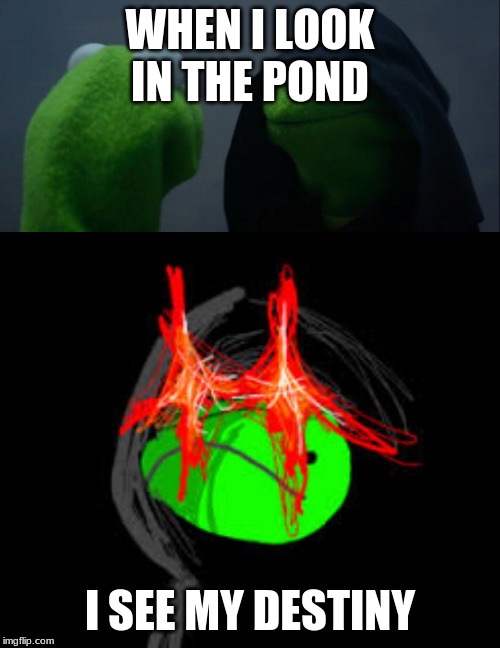 WHEN I LOOK IN THE POND; I SEE MY DESTINY | image tagged in memes,evil kermit | made w/ Imgflip meme maker