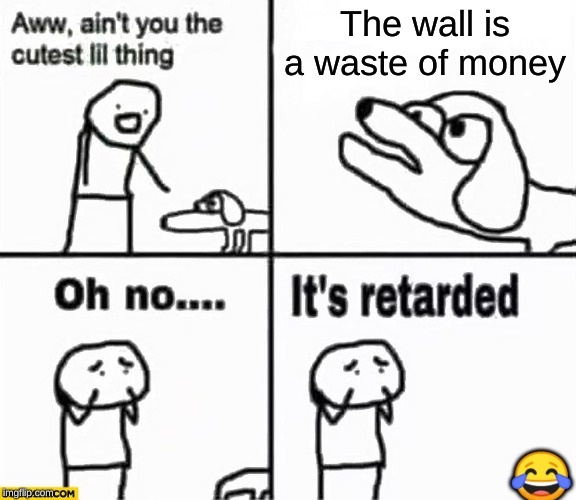 Oh no it's retarded! | The wall is a waste of money; 😂 | image tagged in oh no it's retarded | made w/ Imgflip meme maker