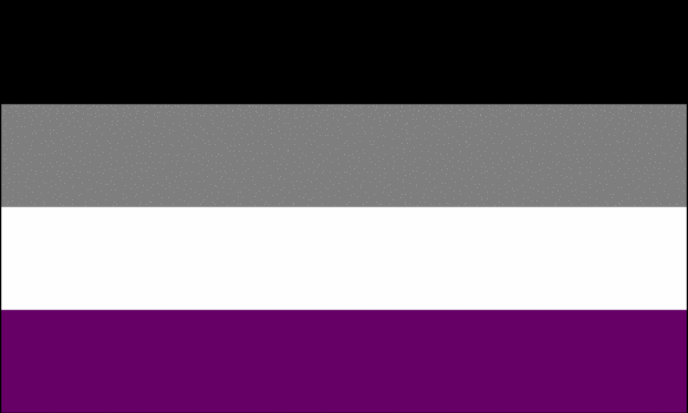 ace flag Blank Meme Template