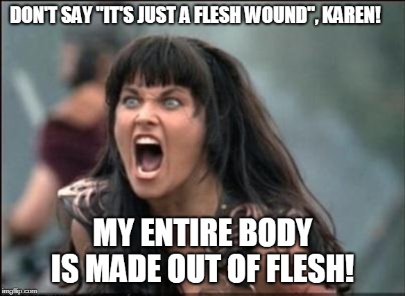 Angry Xena | DON'T SAY "IT'S JUST A FLESH WOUND", KAREN! MY ENTIRE BODY IS MADE OUT OF FLESH! | image tagged in angry xena | made w/ Imgflip meme maker