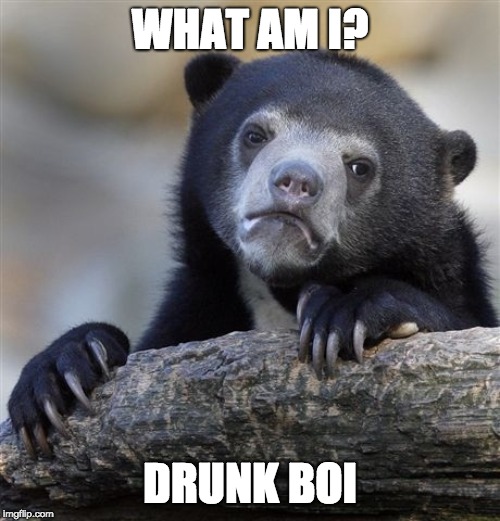 Confession Bear Meme | WHAT AM I? DRUNK BOI | image tagged in memes,confession bear | made w/ Imgflip meme maker